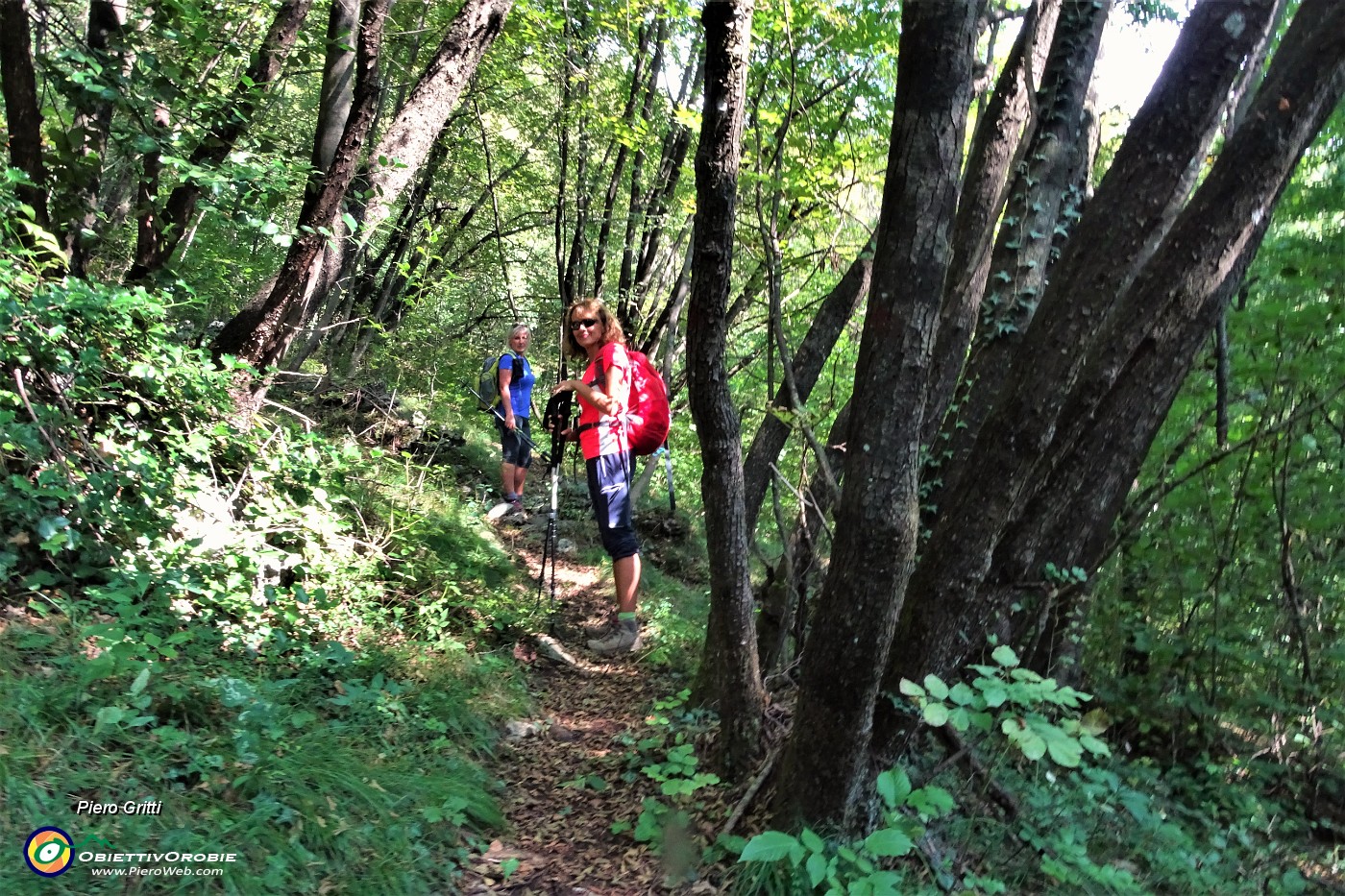 19 Nel bosco di alti carpini neri.JPG